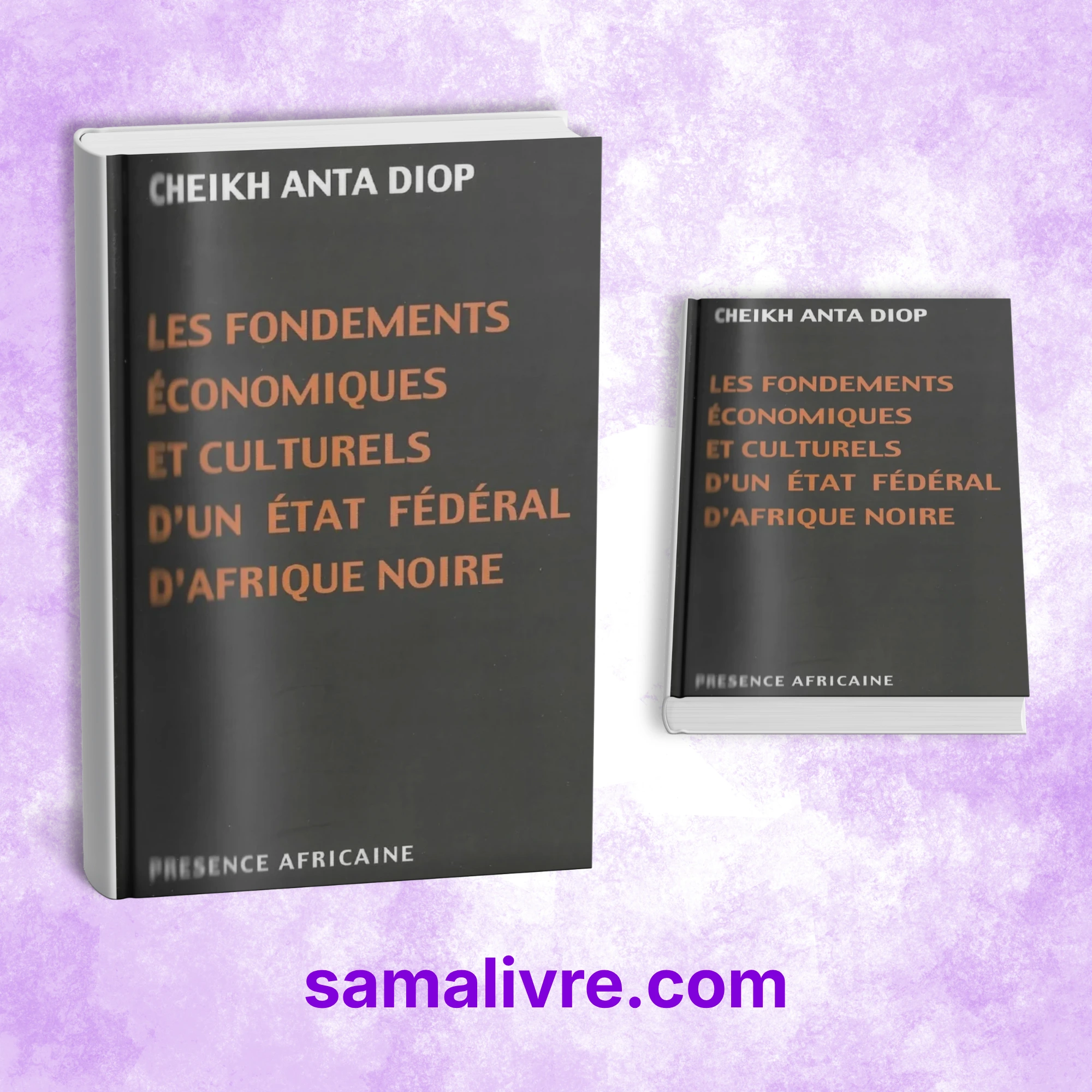 Les fondements économiques et culturels...