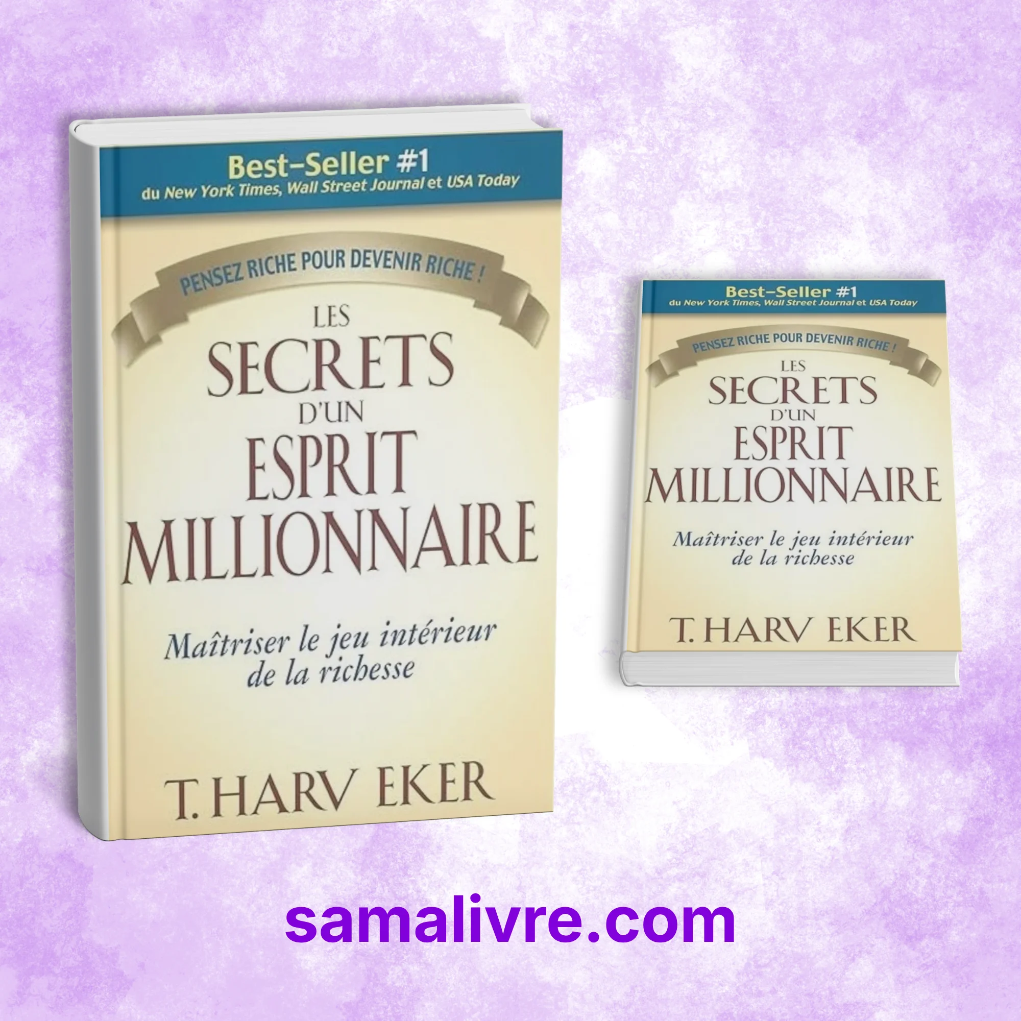 Les Secrets d'un Esprit Millionnaire