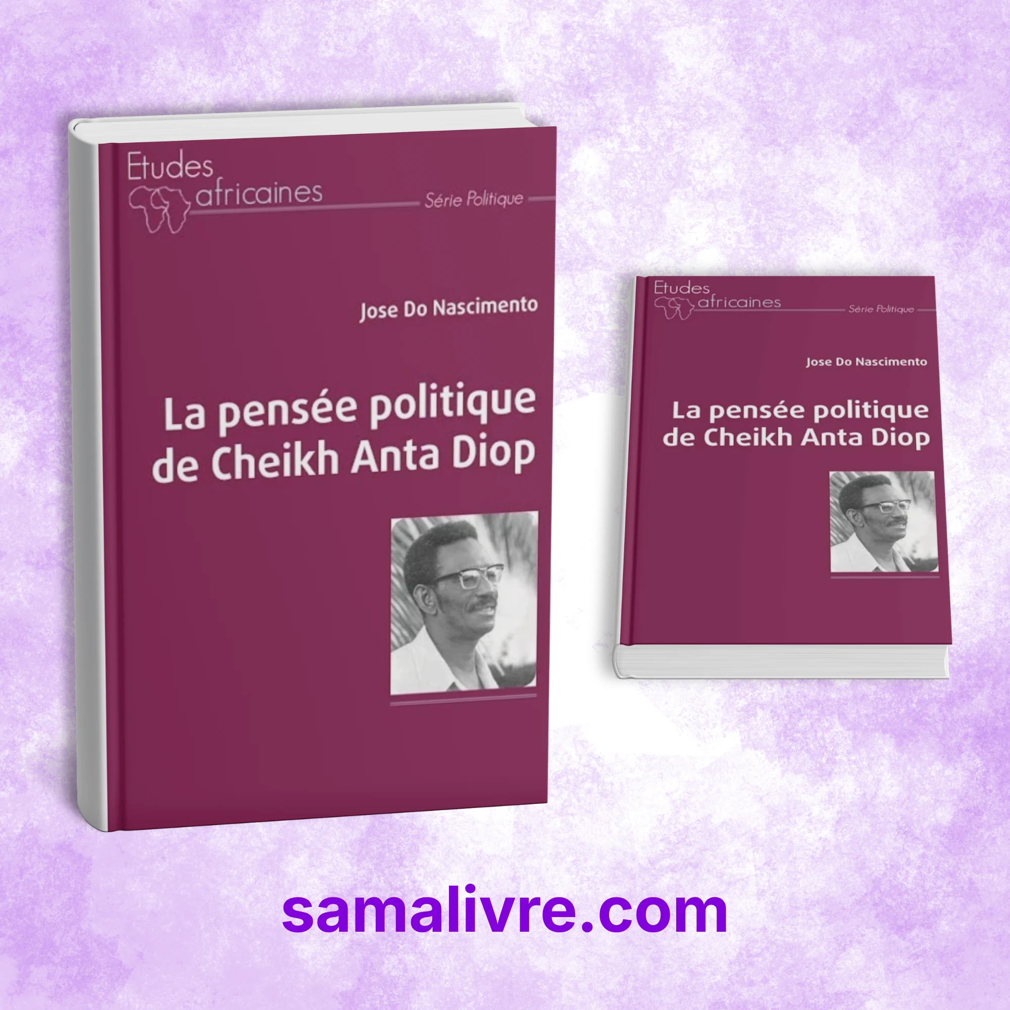 La pensée politique de Cheikh Anta Diop