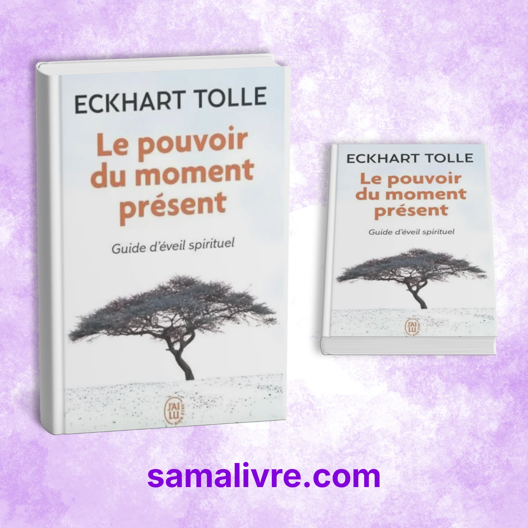 Le pouvoir du moment présent