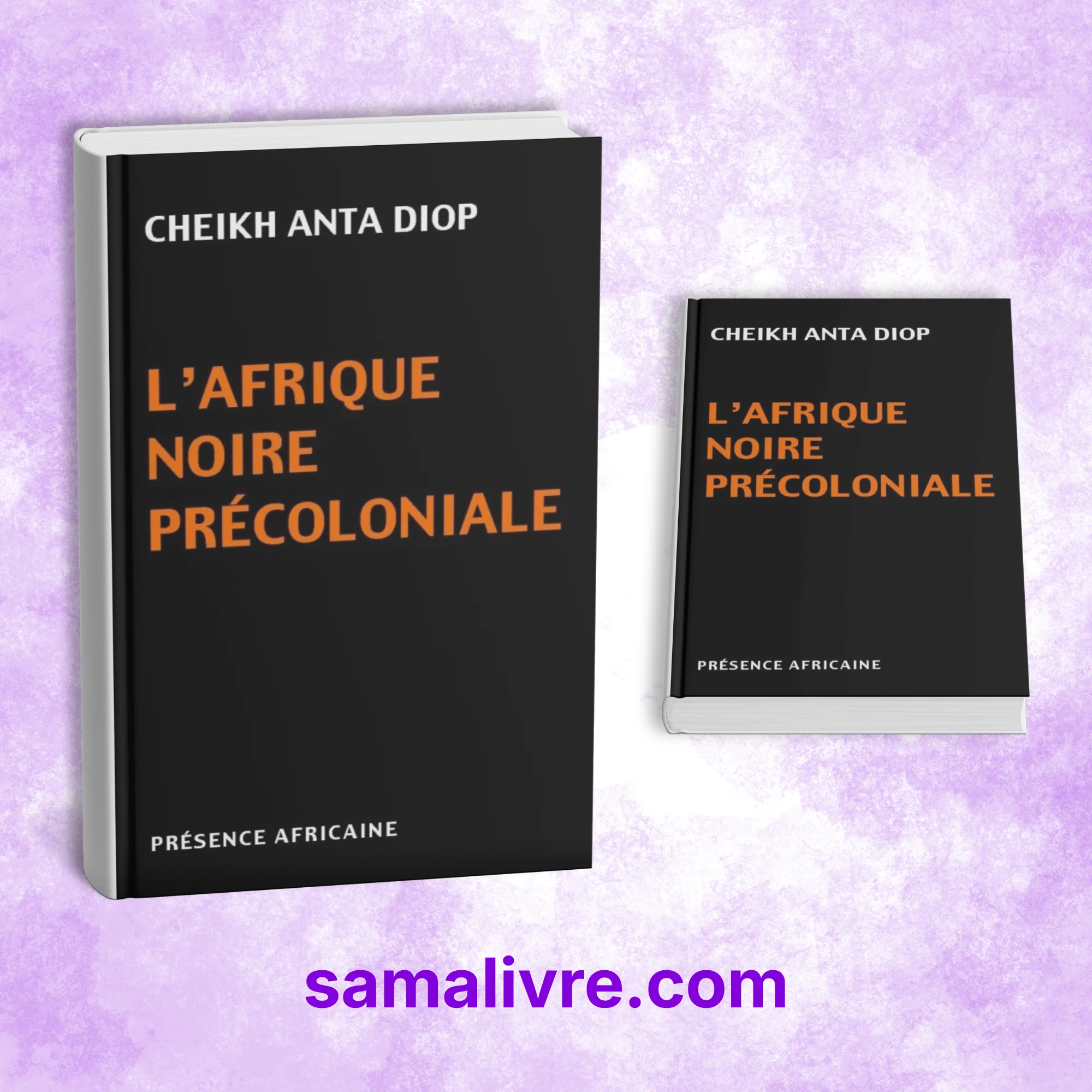 L'Afrique noire précoloniale