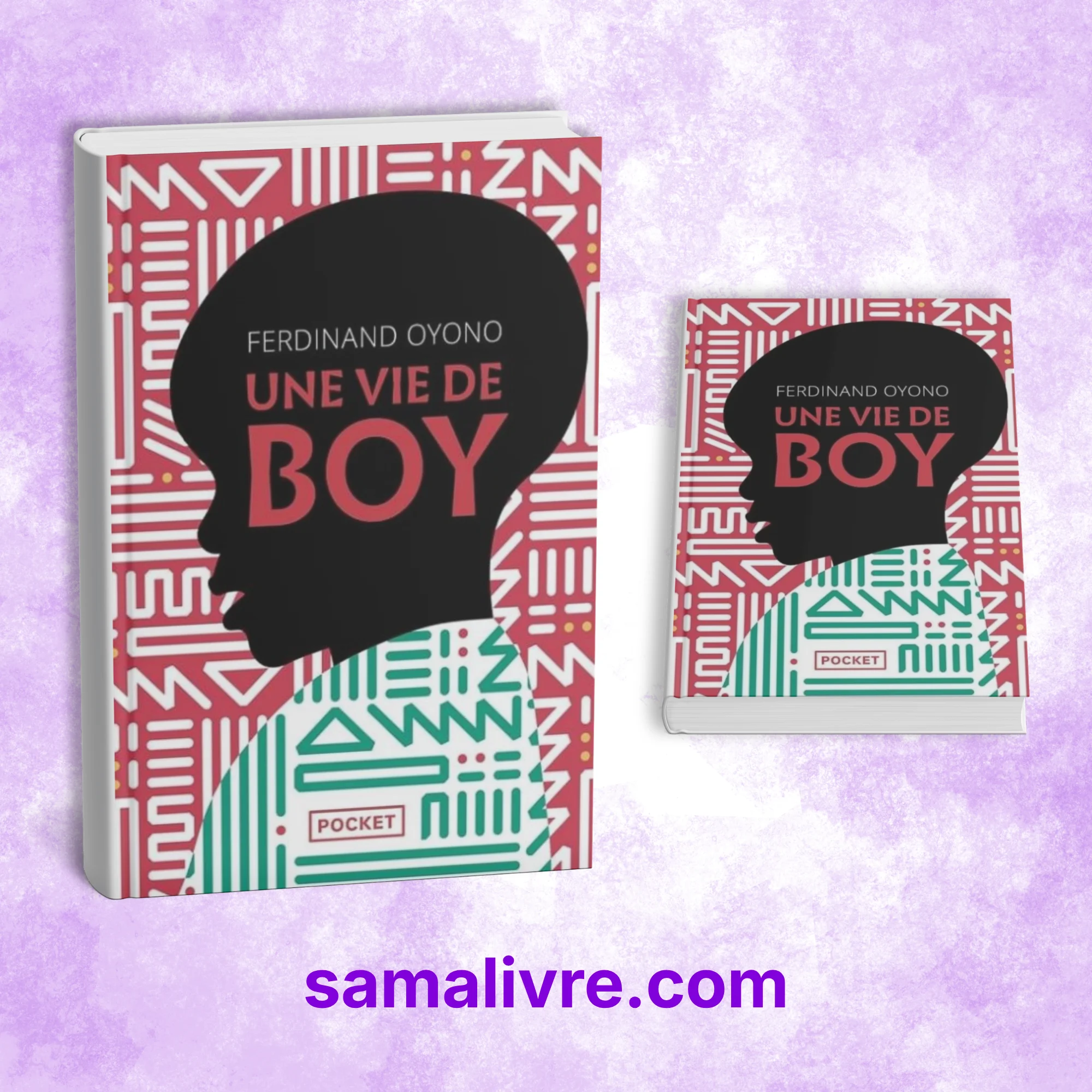 Une vie de boy