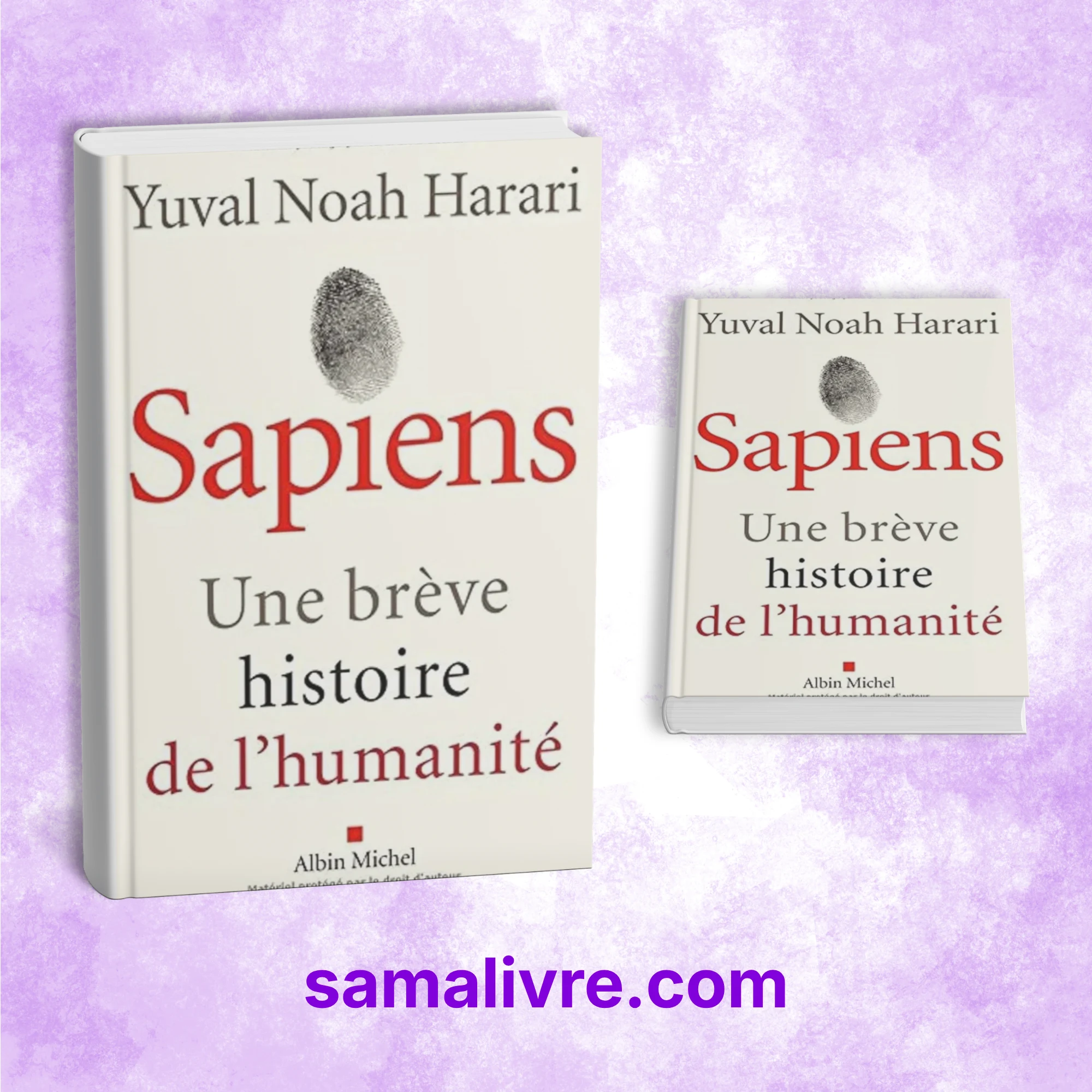 Sapiens : Une brève histoire de l'humanité